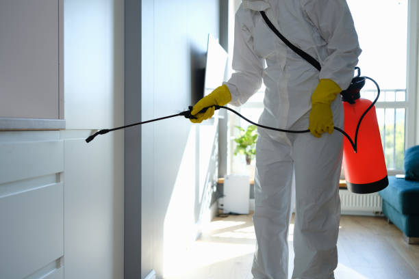 Best Mold Testing  in Breckenridge, TX