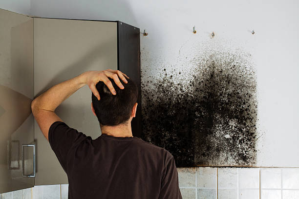 Best Mold Cleaning Services  in Breckenridge, TX